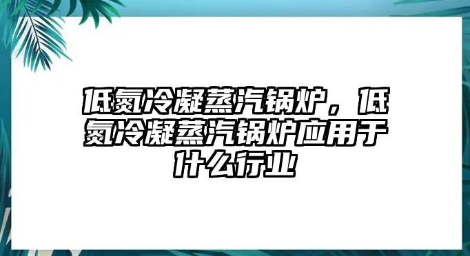 低氮冷凝蒸汽鍋爐，低氮冷凝蒸汽鍋爐應(yīng)用于什么行業(yè)