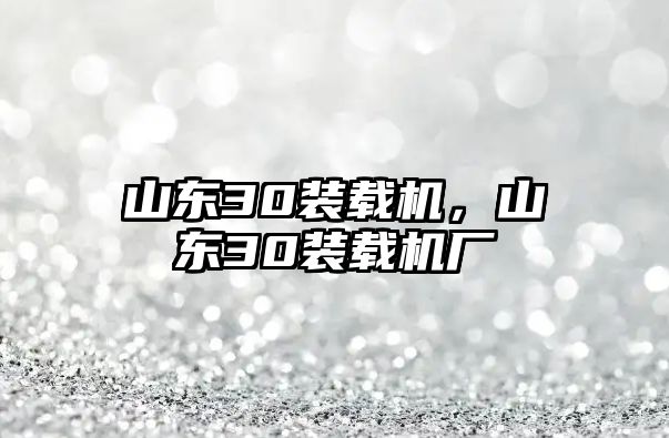 山東30裝載機，山東30裝載機廠