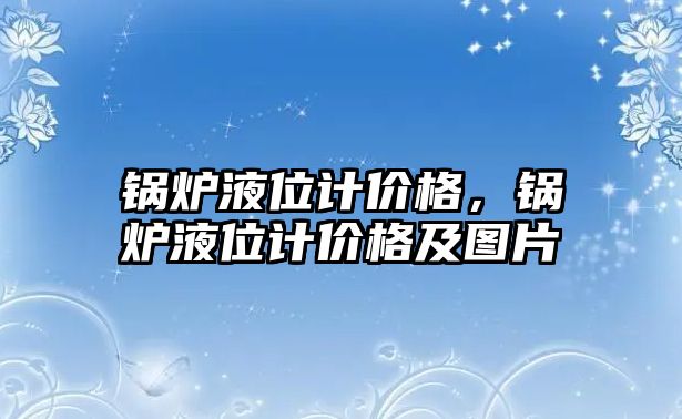 鍋爐液位計價格，鍋爐液位計價格及圖片