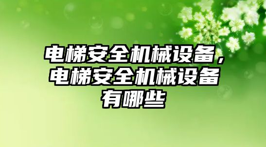 電梯安全機械設(shè)備，電梯安全機械設(shè)備有哪些