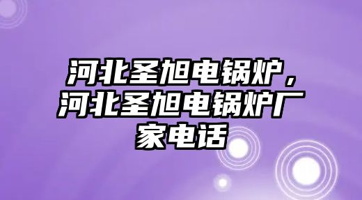 河北圣旭電鍋爐，河北圣旭電鍋爐廠家電話