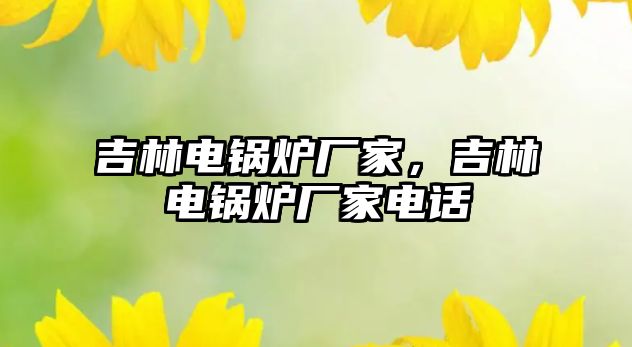 吉林電鍋爐廠家，吉林電鍋爐廠家電話