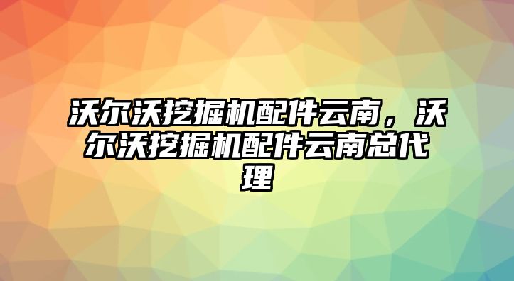 沃爾沃挖掘機配件云南，沃爾沃挖掘機配件云南總代理