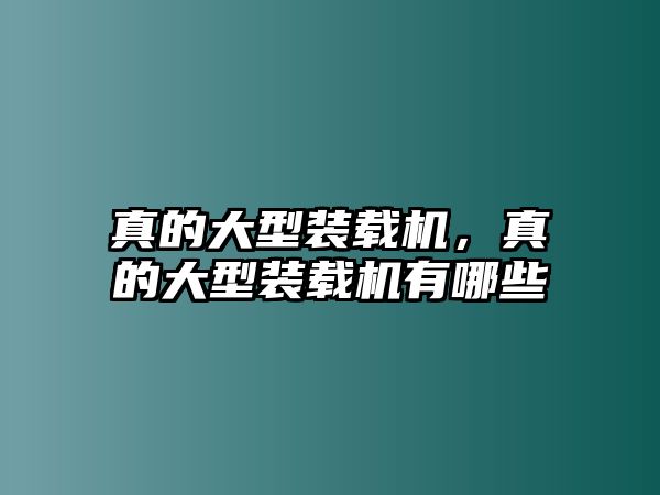 真的大型裝載機，真的大型裝載機有哪些