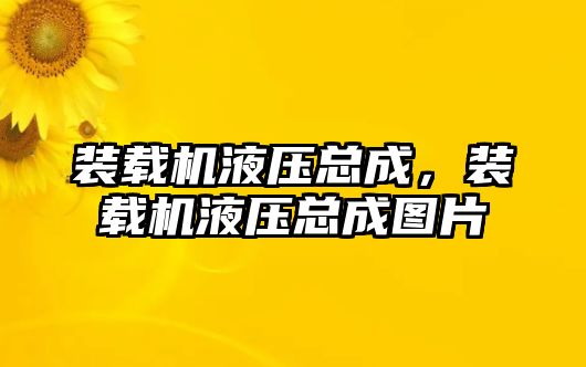 裝載機液壓總成，裝載機液壓總成圖片