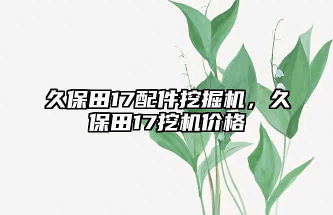 久保田17配件挖掘機(jī)，久保田17挖機(jī)價(jià)格