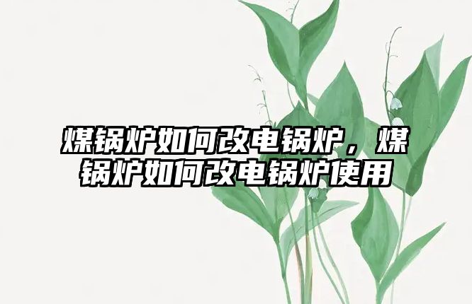 煤鍋爐如何改電鍋爐，煤鍋爐如何改電鍋爐使用