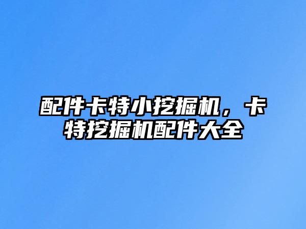 配件卡特小挖掘機，卡特挖掘機配件大全