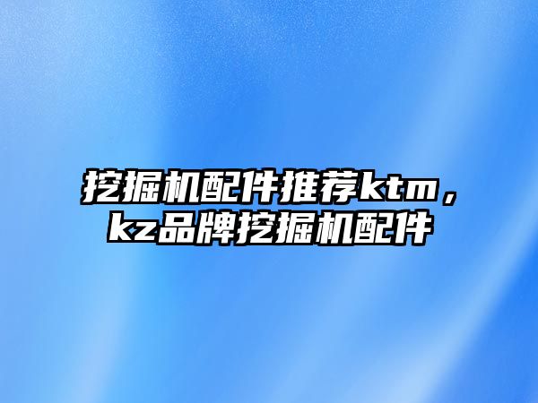 挖掘機配件推薦ktm，kz品牌挖掘機配件