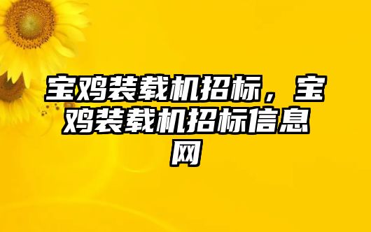 寶雞裝載機(jī)招標(biāo)，寶雞裝載機(jī)招標(biāo)信息網(wǎng)