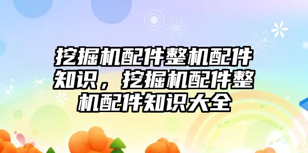 挖掘機(jī)配件整機(jī)配件知識，挖掘機(jī)配件整機(jī)配件知識大全