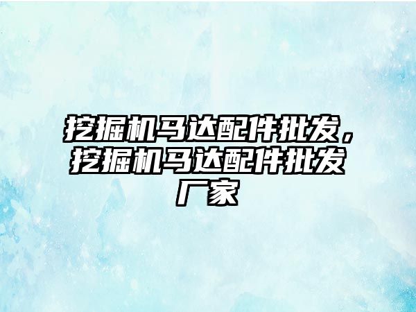 挖掘機馬達配件批發(fā)，挖掘機馬達配件批發(fā)廠家