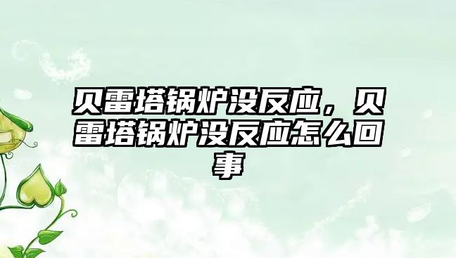 貝雷塔鍋爐沒反應，貝雷塔鍋爐沒反應怎么回事