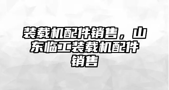 裝載機配件銷售，山東臨工裝載機配件銷售