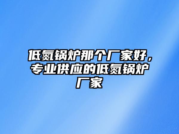 低氮鍋爐那個廠家好，專業(yè)供應的低氮鍋爐廠家