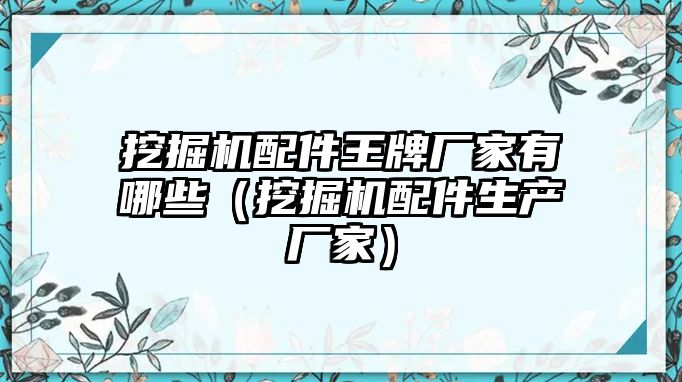 挖掘機配件王牌廠家有哪些（挖掘機配件生產(chǎn)廠家）