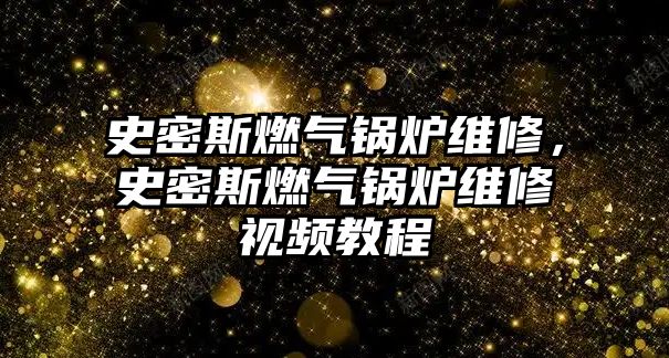 史密斯燃氣鍋爐維修，史密斯燃氣鍋爐維修視頻教程