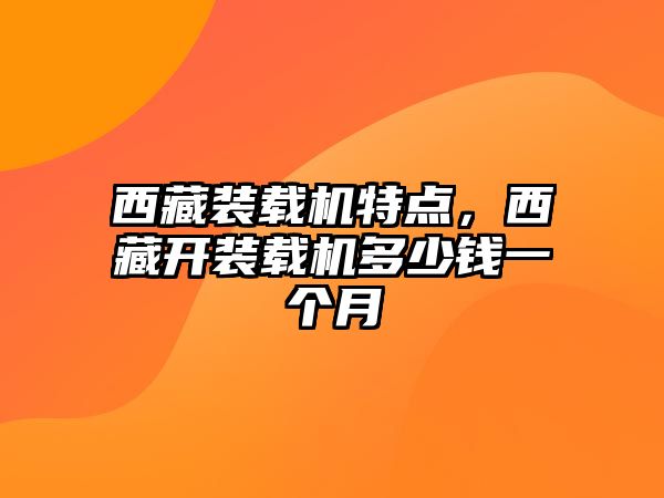 西藏裝載機特點，西藏開裝載機多少錢一個月