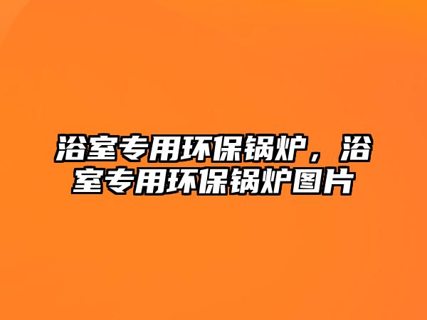 浴室專用環(huán)保鍋爐，浴室專用環(huán)保鍋爐圖片