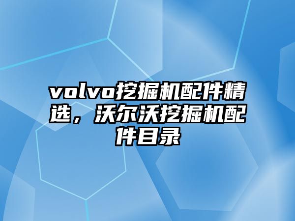 volvo挖掘機(jī)配件精選，沃爾沃挖掘機(jī)配件目錄