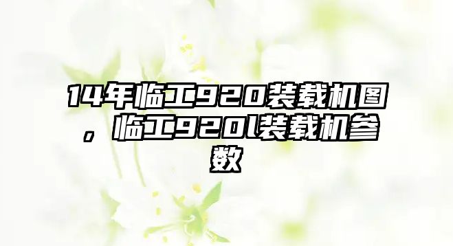 14年臨工920裝載機(jī)圖，臨工920l裝載機(jī)參數(shù)