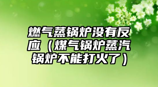 燃氣蒸鍋爐沒有反應(yīng)（煤氣鍋爐蒸汽鍋爐不能打火了）