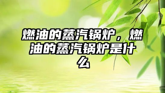 燃油的蒸汽鍋爐，燃油的蒸汽鍋爐是什么