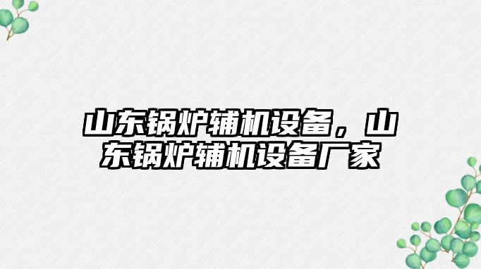 山東鍋爐輔機(jī)設(shè)備，山東鍋爐輔機(jī)設(shè)備廠家