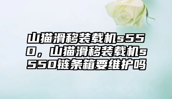 山貓滑移裝載機(jī)s550，山貓滑移裝載機(jī)s550鏈條箱要維護(hù)嗎