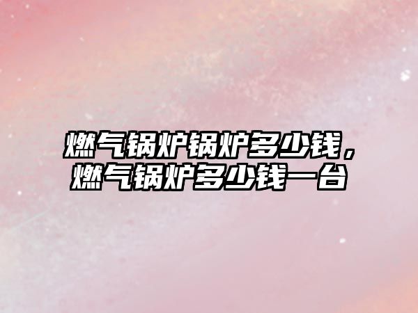 燃?xì)忮仩t鍋爐多少錢，燃?xì)忮仩t多少錢一臺