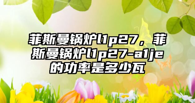 菲斯曼鍋爐l1p27，菲斯曼鍋爐l1p27-a1je的功率是多少瓦