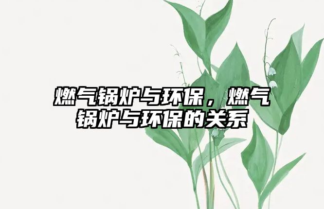 燃氣鍋爐與環(huán)保，燃氣鍋爐與環(huán)保的關系