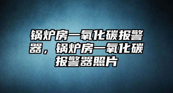 鍋爐房一氧化碳報警器，鍋爐房一氧化碳報警器照片