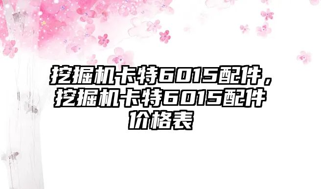 挖掘機(jī)卡特6015配件，挖掘機(jī)卡特6015配件價(jià)格表