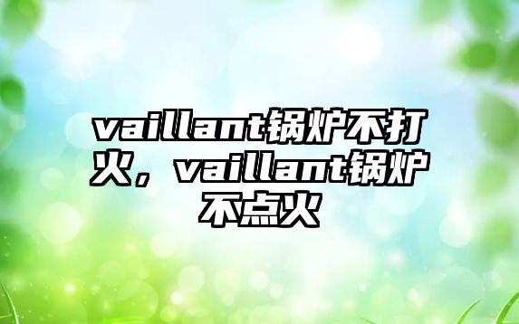 vaillant鍋爐不打火，vaillant鍋爐不點火