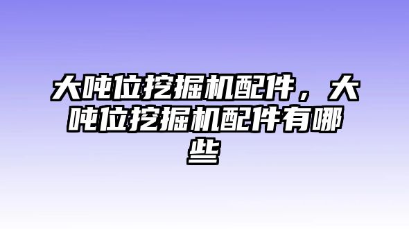 大噸位挖掘機(jī)配件，大噸位挖掘機(jī)配件有哪些