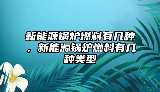 新能源鍋爐燃料有幾種，新能源鍋爐燃料有幾種類型