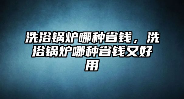 洗浴鍋爐哪種省錢，洗浴鍋爐哪種省錢又好用