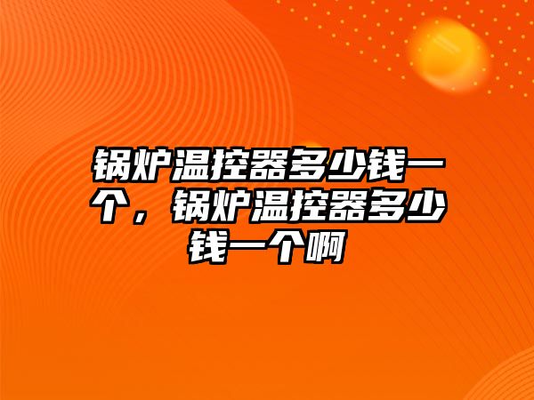 鍋爐溫控器多少錢一個(gè)，鍋爐溫控器多少錢一個(gè)啊