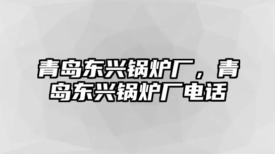 青島東興鍋爐廠，青島東興鍋爐廠電話