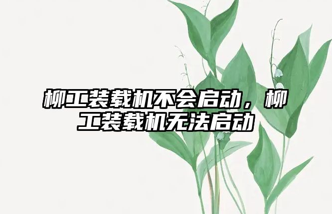 柳工裝載機不會啟動，柳工裝載機無法啟動