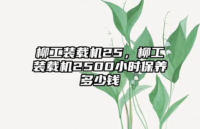 柳工裝載機(jī)25，柳工裝載機(jī)2500小時(shí)保養(yǎng)多少錢