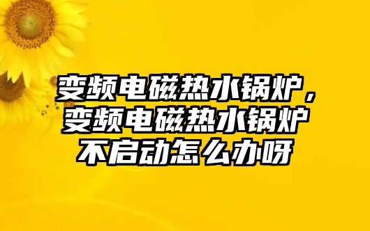 變頻電磁熱水鍋爐，變頻電磁熱水鍋爐不啟動(dòng)怎么辦呀