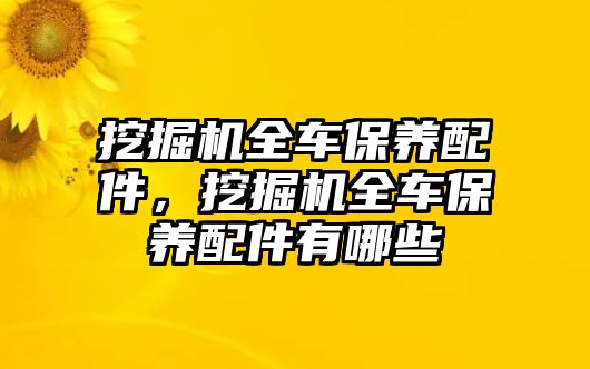 挖掘機全車保養(yǎng)配件，挖掘機全車保養(yǎng)配件有哪些