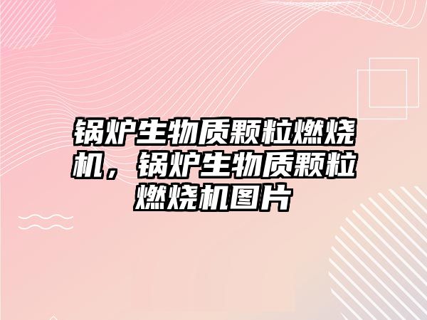 鍋爐生物質(zhì)顆粒燃燒機，鍋爐生物質(zhì)顆粒燃燒機圖片