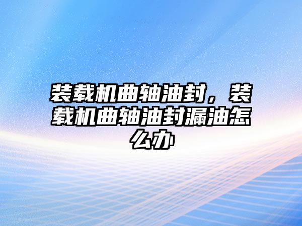 裝載機(jī)曲軸油封，裝載機(jī)曲軸油封漏油怎么辦