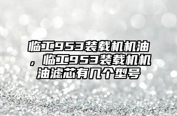 臨工953裝載機(jī)機(jī)油，臨工953裝載機(jī)機(jī)油濾芯有幾個(gè)型號(hào)