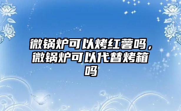 微鍋爐可以烤紅薯嗎，微鍋爐可以代替烤箱嗎