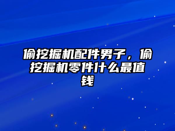 偷挖掘機配件男子，偷挖掘機零件什么最值錢