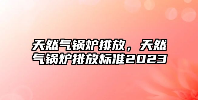 天然氣鍋爐排放，天然氣鍋爐排放標(biāo)準(zhǔn)2023